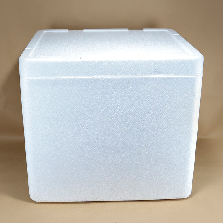 CONSERVADORA ICE BOX Nº22 42L XUNID.