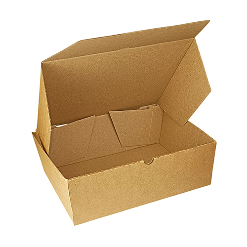 CAJA CARTON DELIVERY GDE.22X30X10 XUNID.